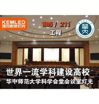 華中師范大學科學會堂會議室燈光工程